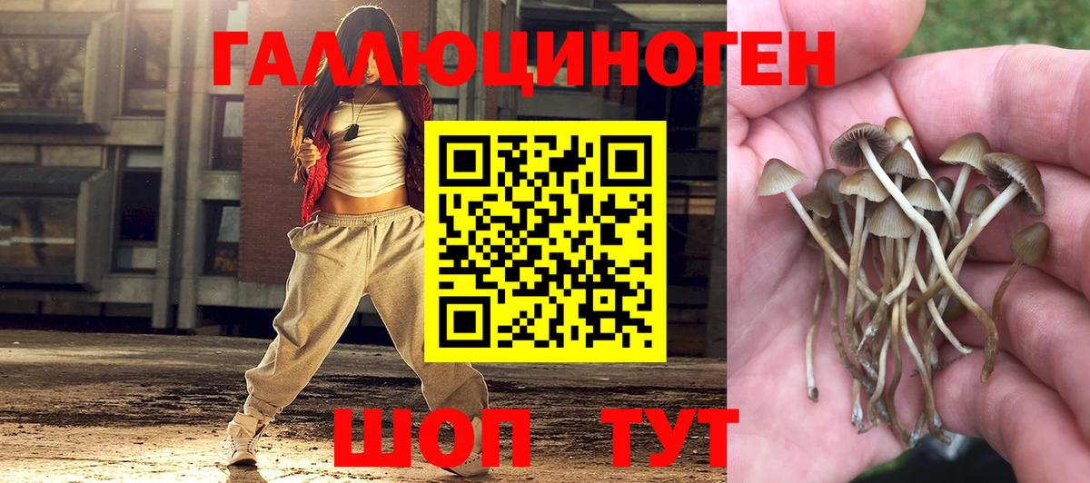 Лосино-Петровский  Галлюциногенные грибы Cubensis  закладки  Вход с VPN 