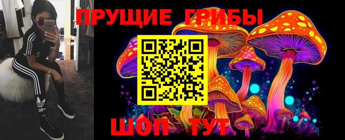 Галлюциногенные грибы Psilocybine cubensis Лосино-Петровский
